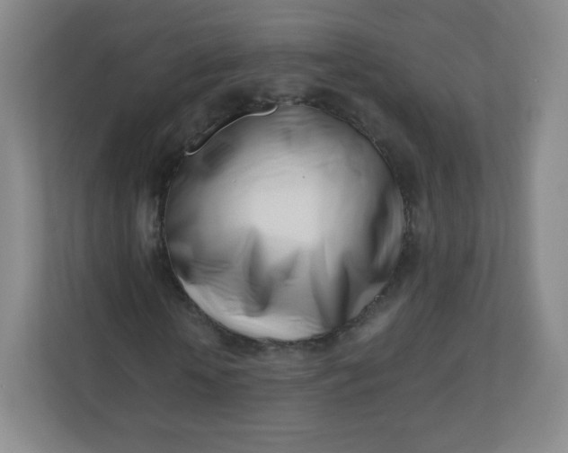 X0000110770818200906291046