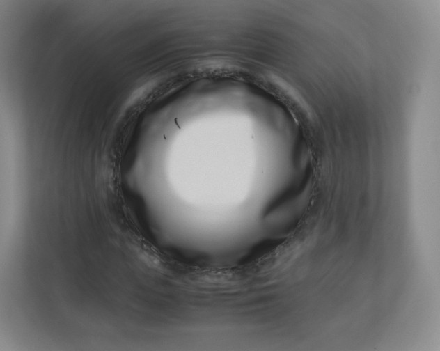 X0000110770823200906291046