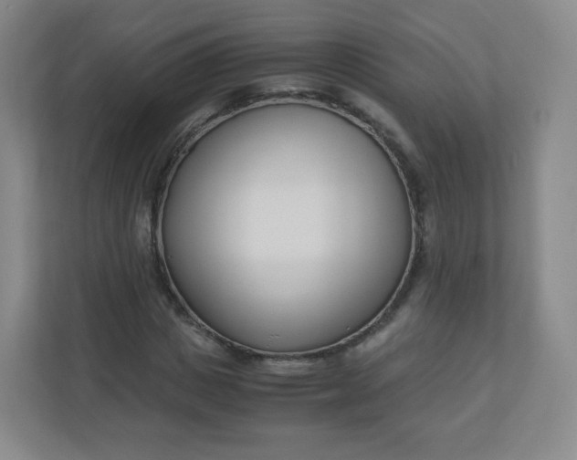 X0000110770825200906291046