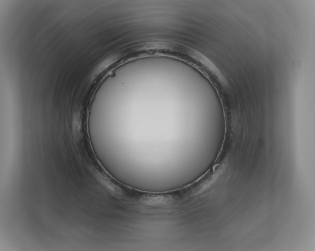 X0000110770826200906291046