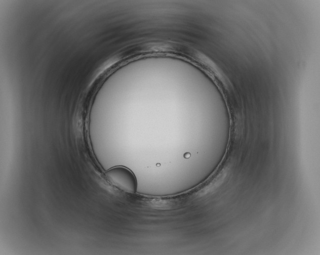 X0000110770827200906291046