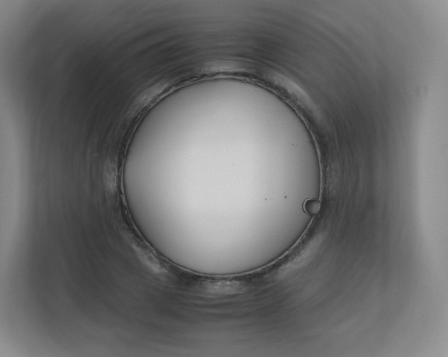 X0000110770833200906291046