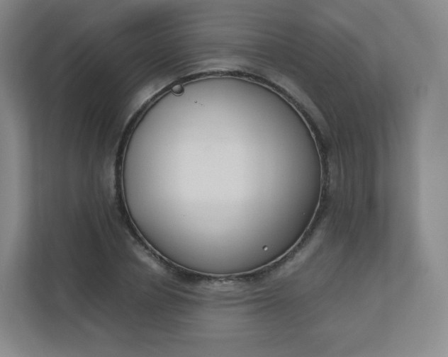 X0000110770834200906291046