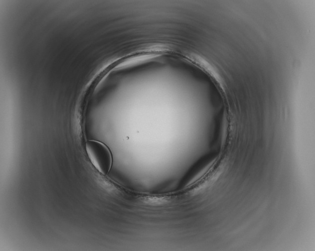 X0000110770835200906291046