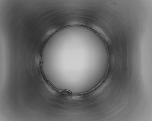 X0000110770841200906291046