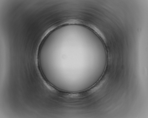 X0000110770845200906291046