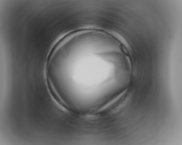 X0000110770847200906291046