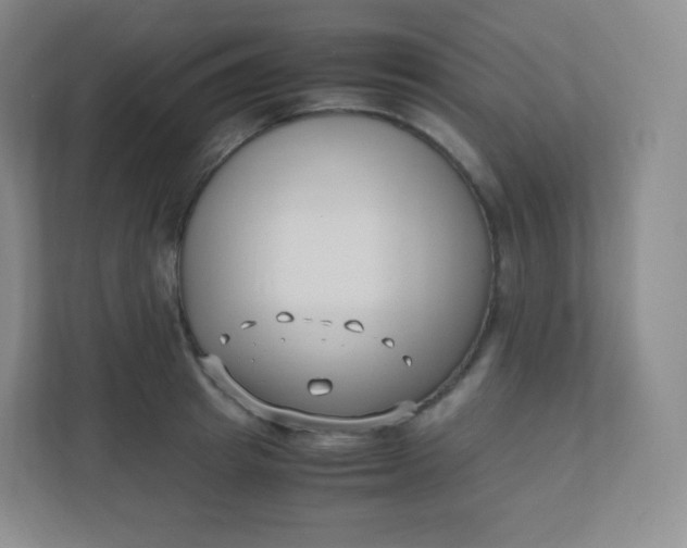 X0000110770849200906291046