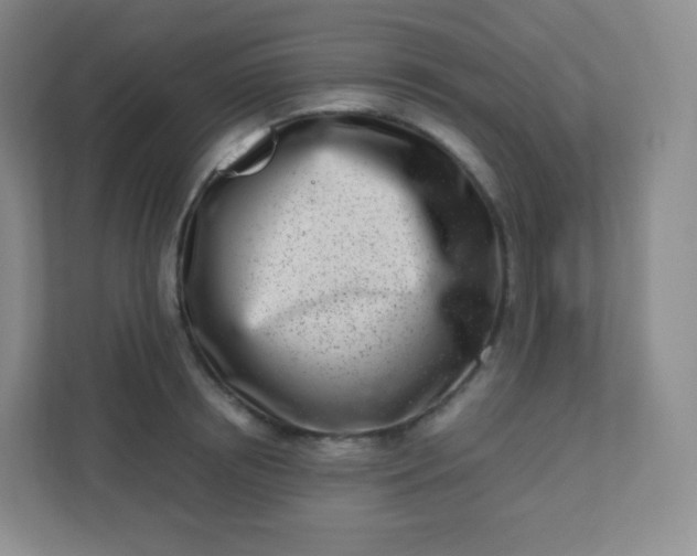 X0000110770850200906291046