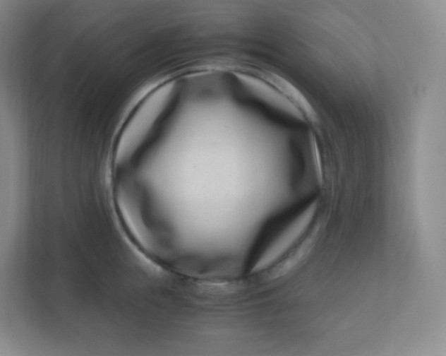 X0000110770855200906291046