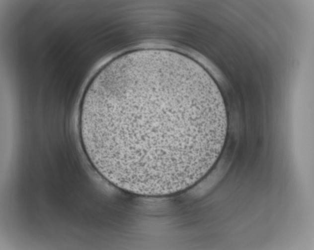 X0000110770856200906291046