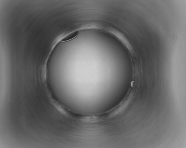 X0000110770858200906291047