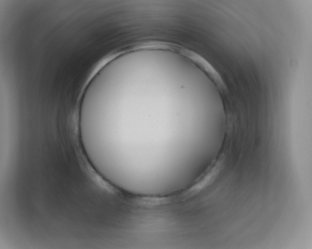 X0000110770860200906291047