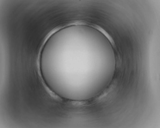 X0000110770861200906291047