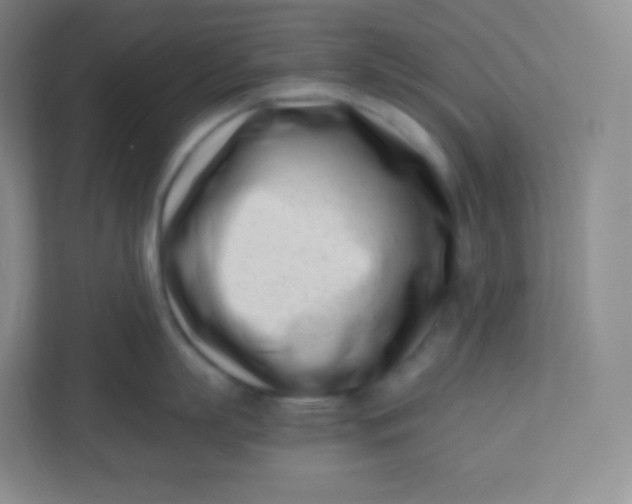 X0000110770863200906291047