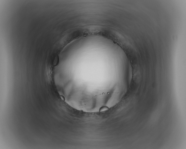 X0000110770866200906291046