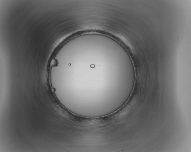 X0000110770879200906291046