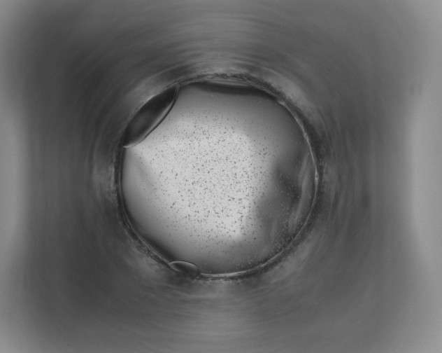 X0000110770881200906291046