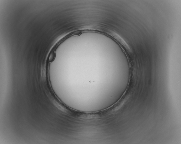 X0000110770884200906291046