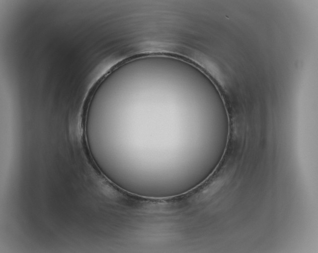 X0000110770885200906291046