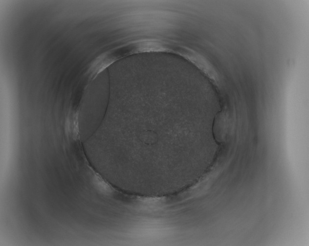 X0000110770889200906291046