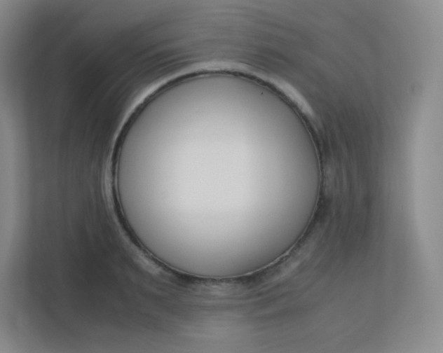 X0000110770895200906291046