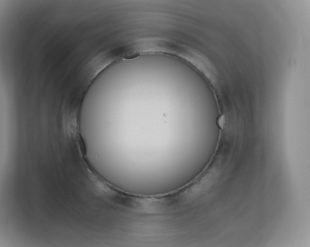 X0000110770897200906291046