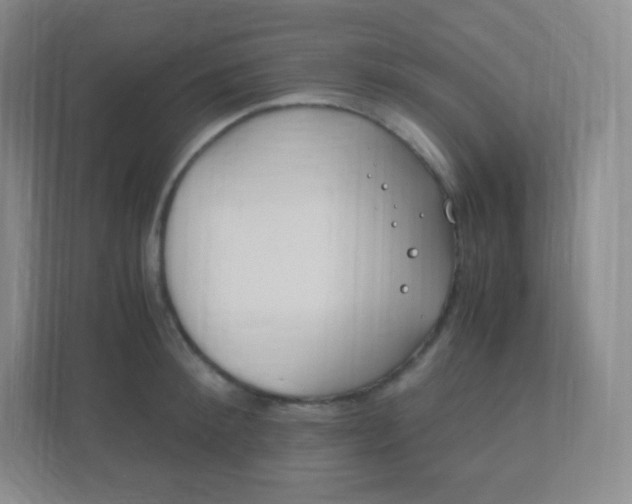 X0000110770900200906291046