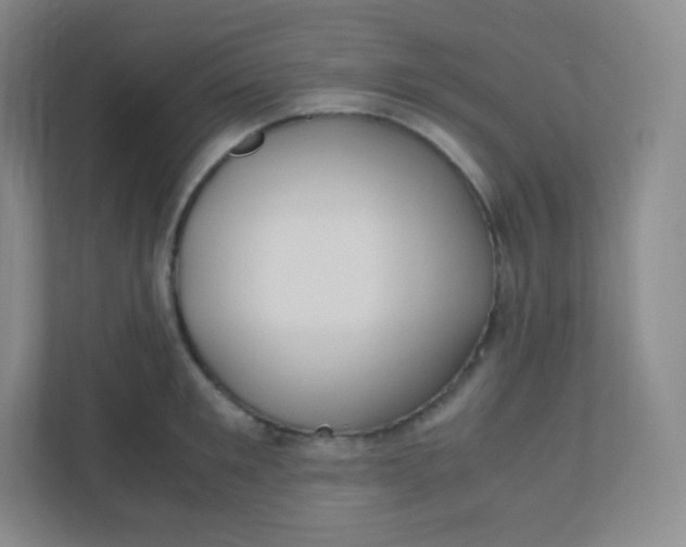 X0000110770901200906291046