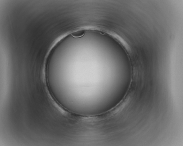 X0000110770902200906291045