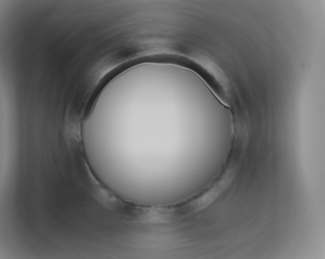 X0000110770905200906291045