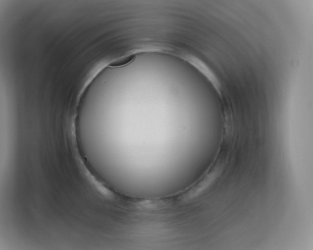 X0000110770906200906291045