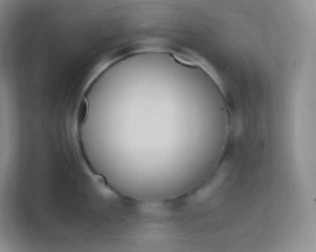 X0000110770909200906291045