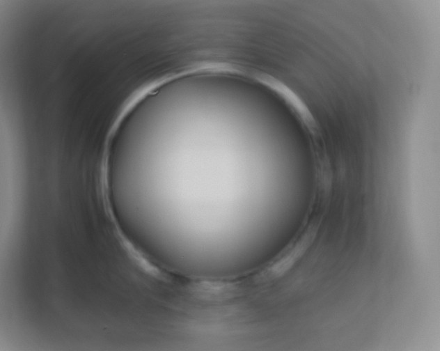 X0000110770910200906291045