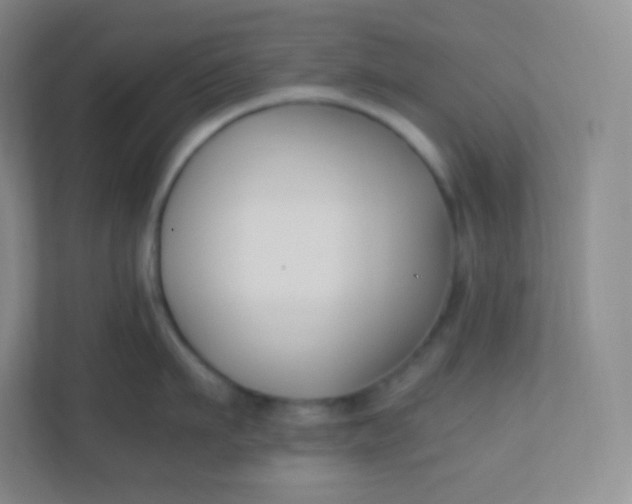 X0000110770911200906291045