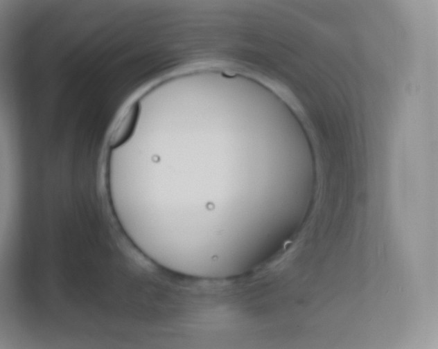 X0000110770912200906291045