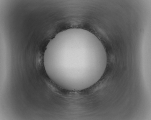 X0000110770914200906291045