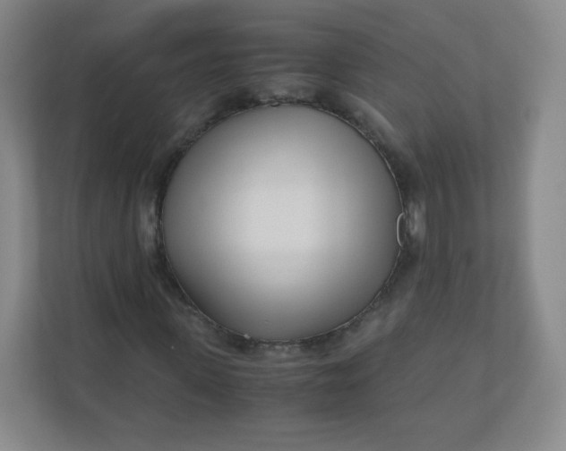 X0000110770915200906291045