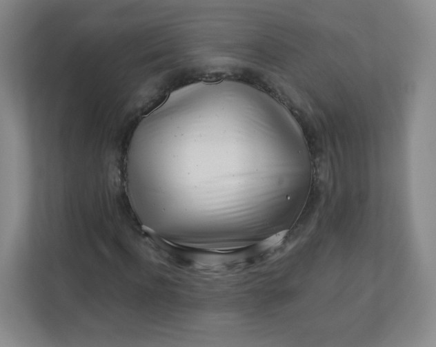 X0000110770916200906291045