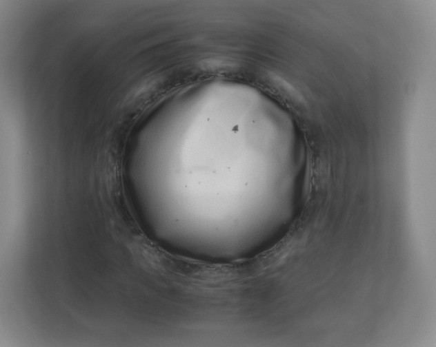 X0000110770917200906291045