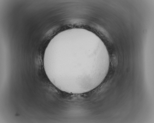 X0000110770918200906291045