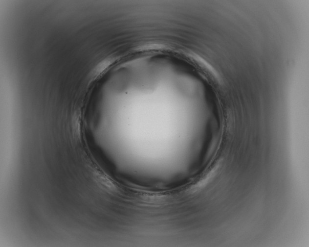 X0000110770921200906291045