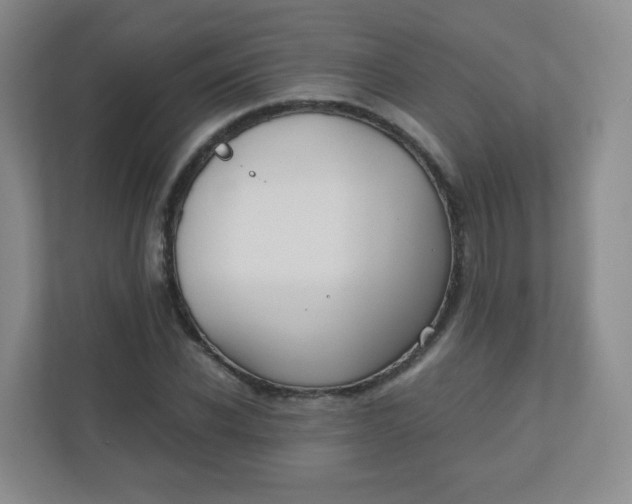 X0000110770926200906291045