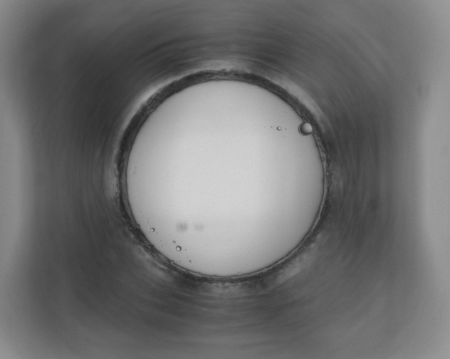 X0000110770927200906291045