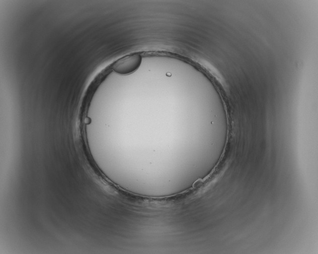 X0000110770928200906291045