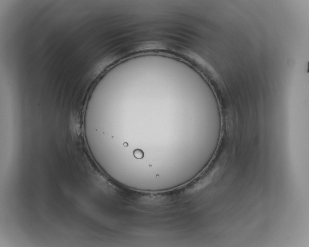 X0000110770929200906291045