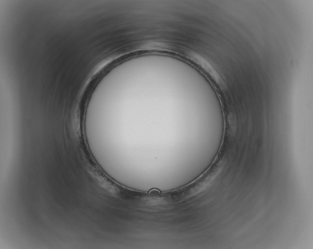 X0000110770931200906291045