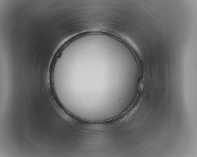 X0000110770932200906291045