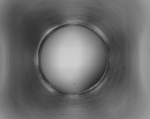 X0000110770940200906291045