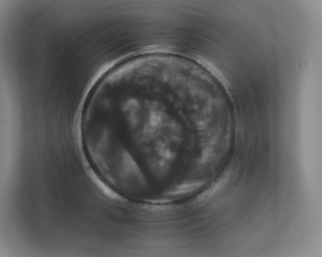 X0000110770941200906291045